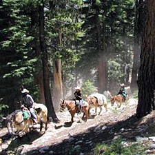 USA-California-Northern Yosemite Pack Trip